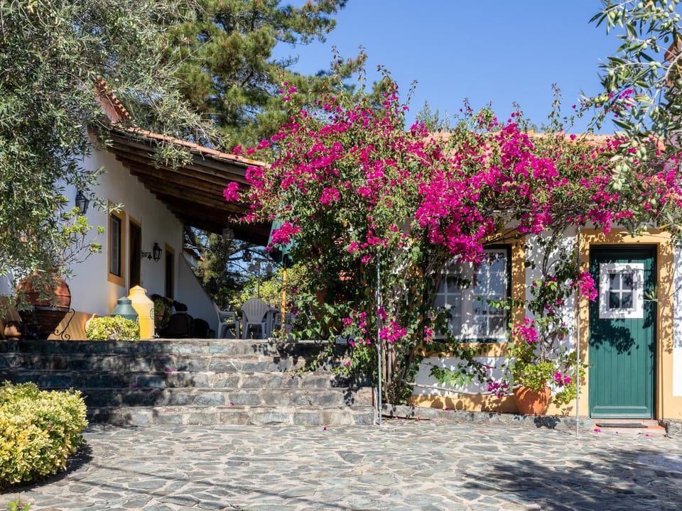 Monte Velho Country House Country House in Santarém District, Portugal