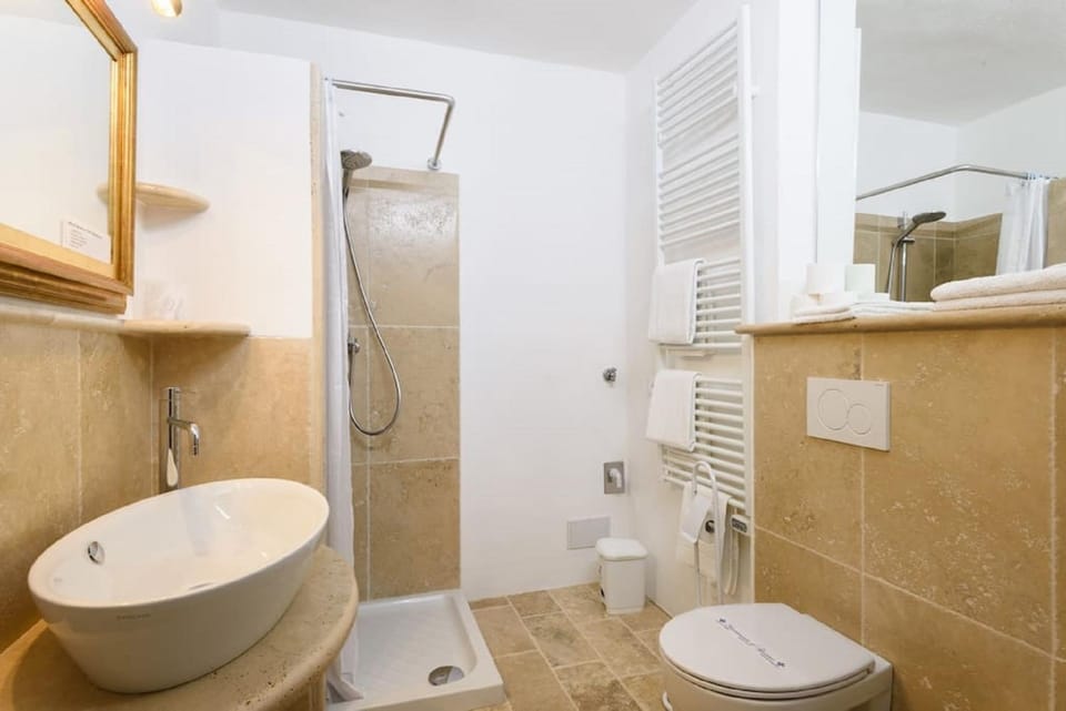 Shower, Toilet, Bathroom, bidet