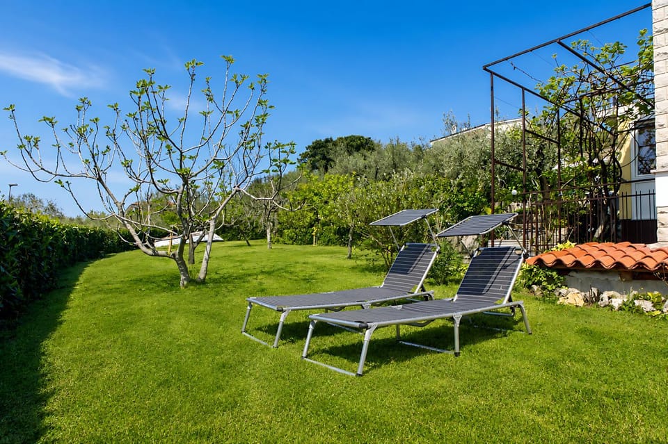 Garden, Garden view, sunbed
