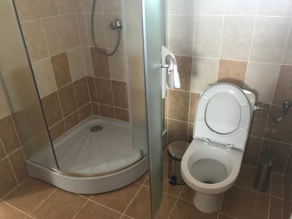 Pensiunea Granada Bed and Breakfast in Romania