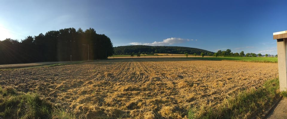 Natural landscape
