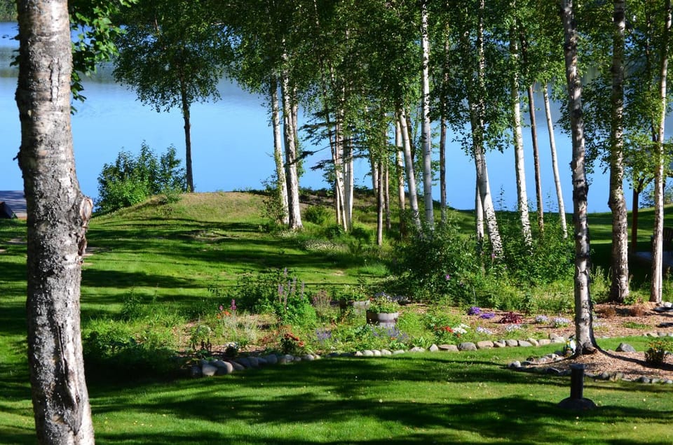 Lake view