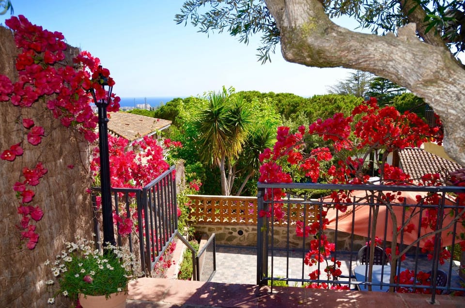 Patio, Facade/entrance, Spring, Day, Natural landscape, Garden, View (from property/room), Balcony/Terrace, Garden view, Sea view