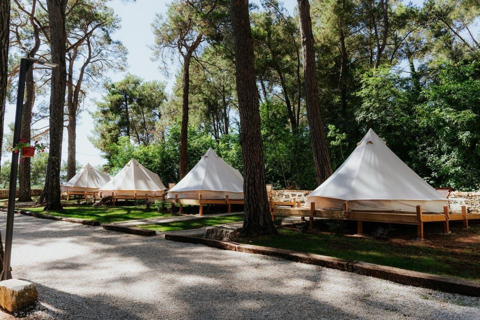Camp 'Dvor' bell tent accommodation Bed and Breakfast in Istria County