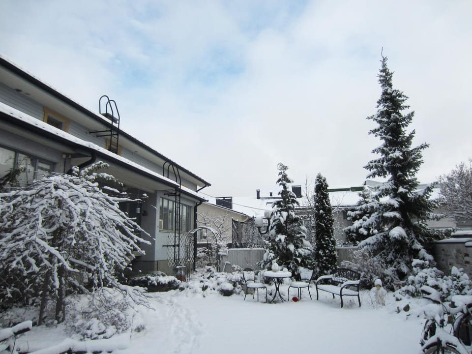 Winter