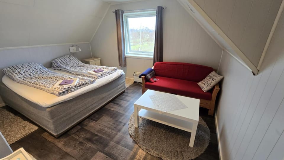 Bed, Living room, Photo of the whole room, Seating area, Bedroom