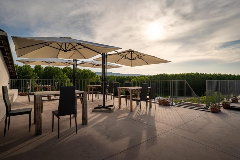 Vitae di Langa Farm Stay in Liguria