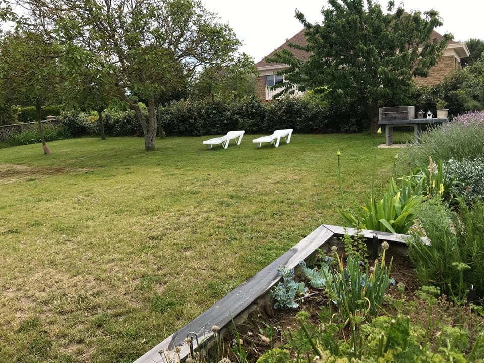 Natural landscape, Garden, Garden view