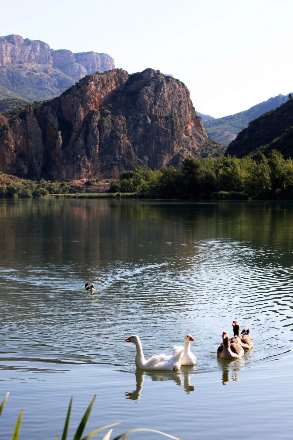 Natural landscape
