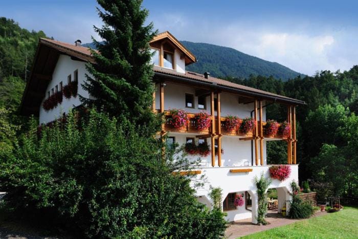Property building, Summer