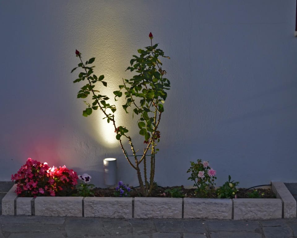 Night, Garden
