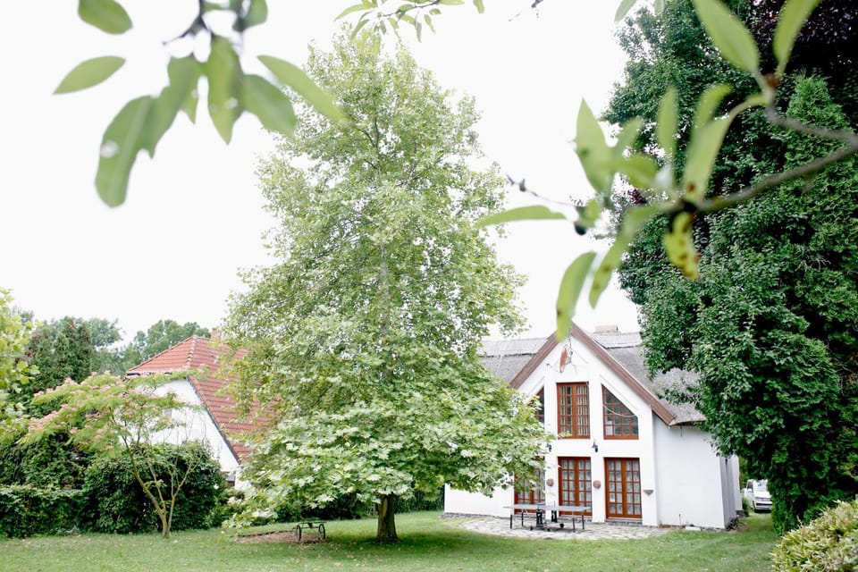 The Pearl of Balaton Villa in Hungary