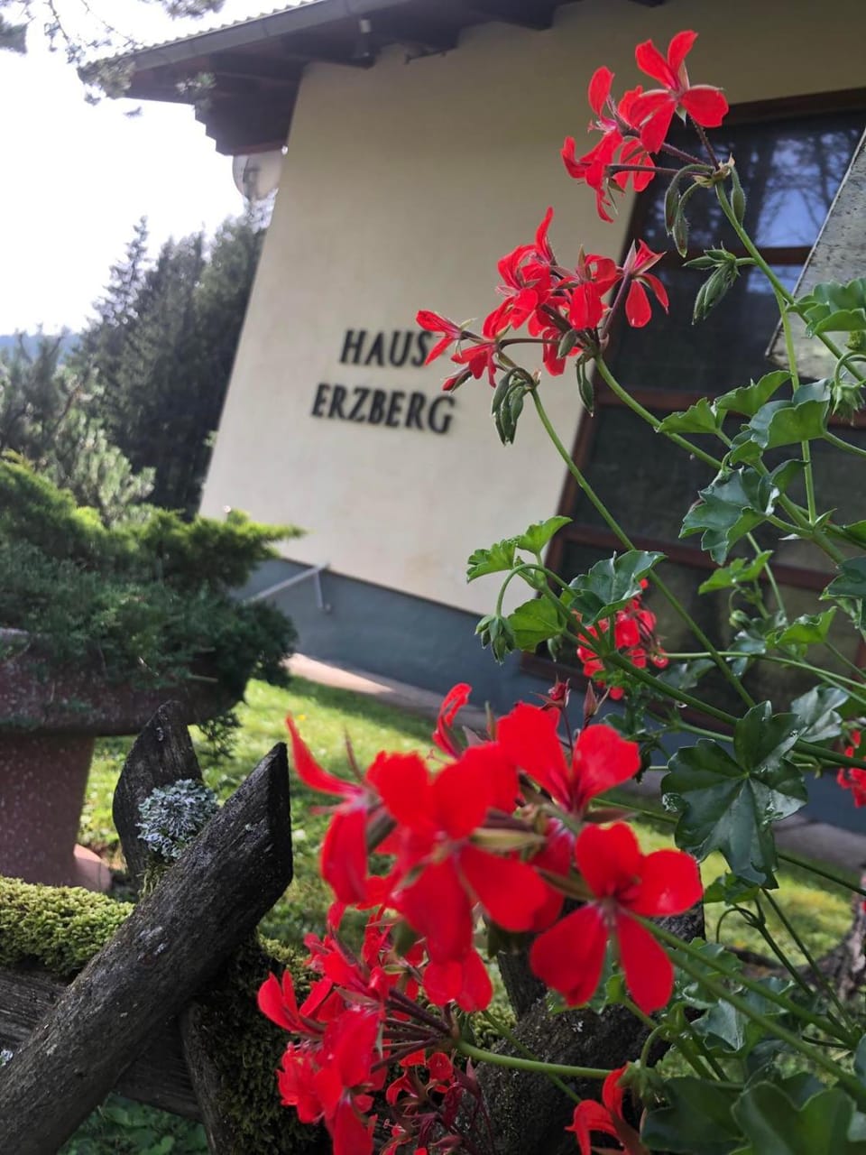 Haus-erzberg Bed and Breakfast in Upper Austria