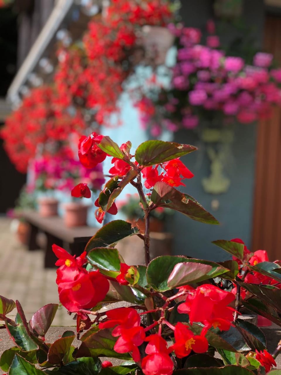 Haus-erzberg Bed and Breakfast in Upper Austria