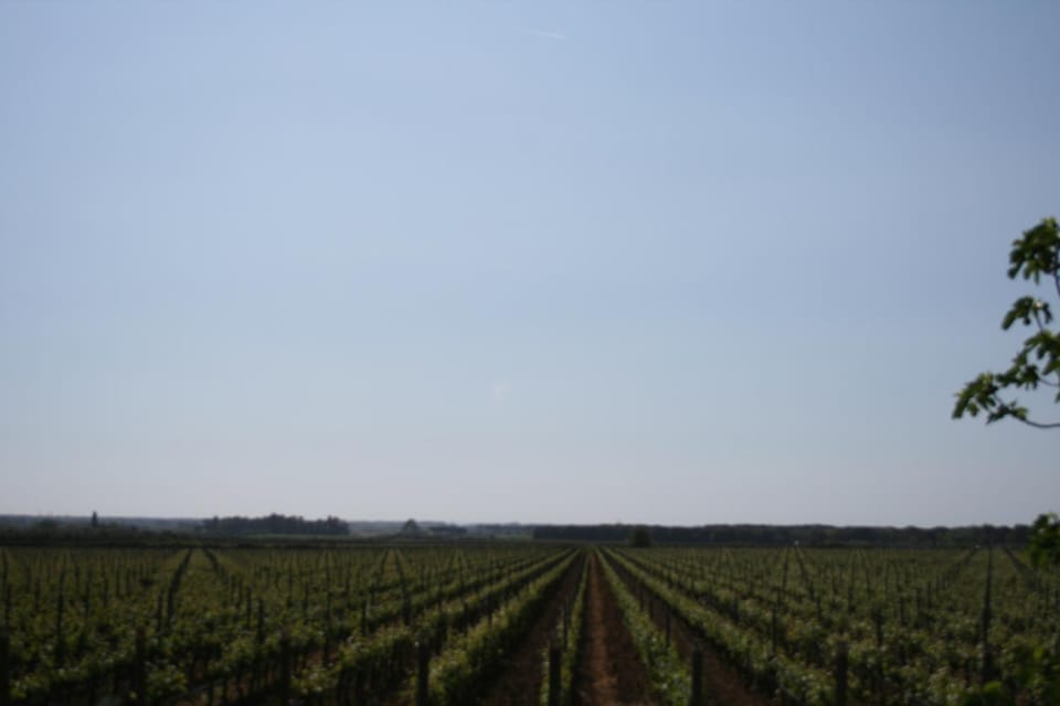 Natural landscape