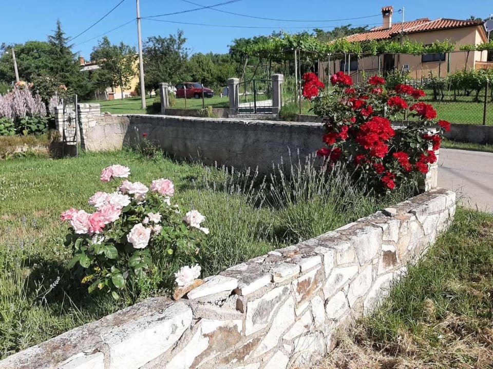 Apartman Paolo Apartment in Istria County
