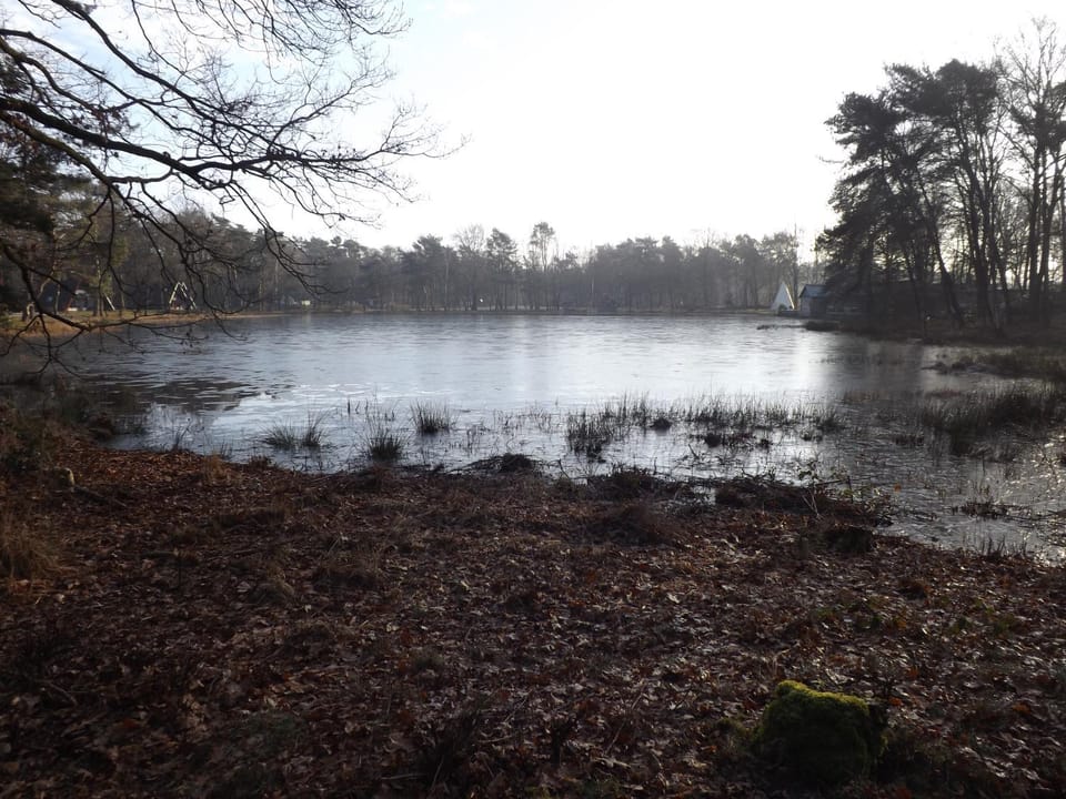 Vosseven 15 Haasje House in Limburg (province)