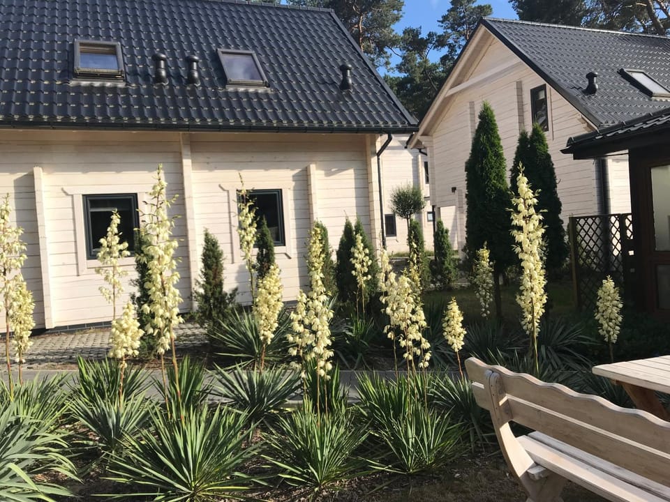 Gryf-Balt - Domki drewniane Nature lodge in West Pomeranian Voivodeship, Poland