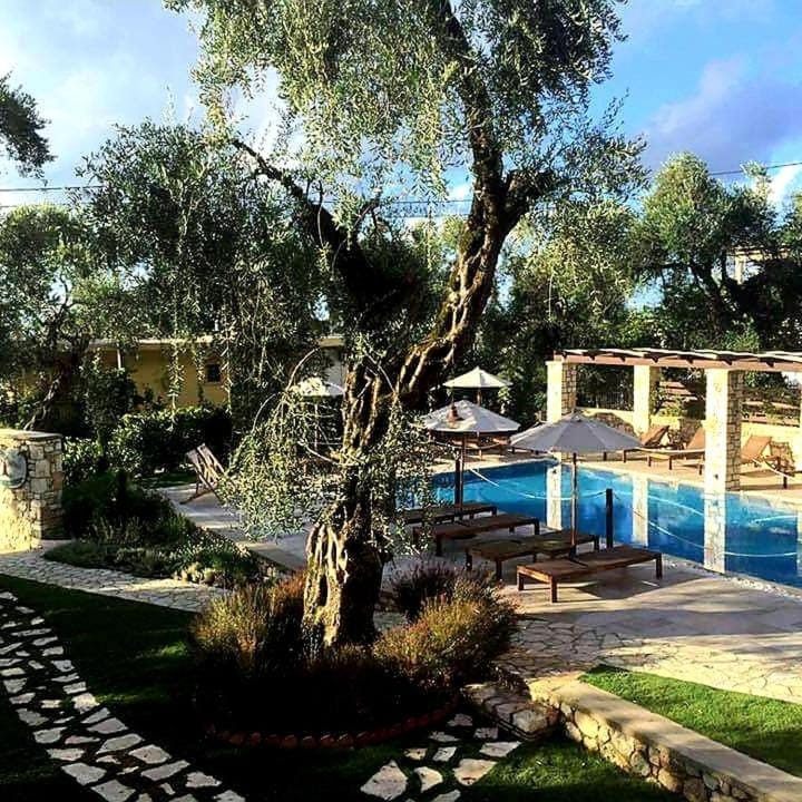 Day, Natural landscape, Garden, Garden view, Swimming pool, sunbed