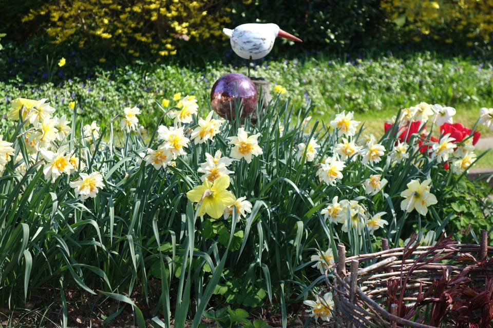 Spring, Garden, Garden view
