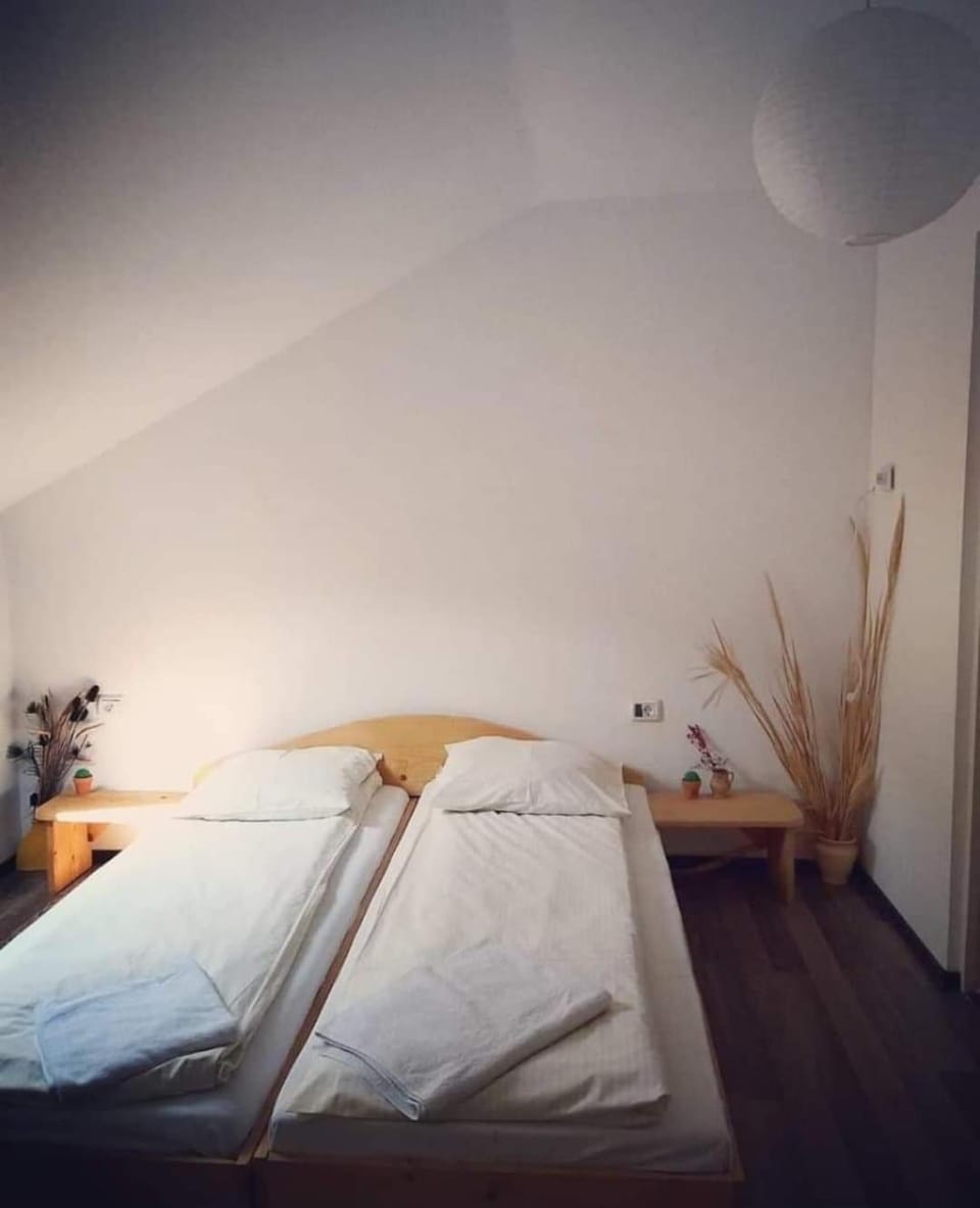 Casa Raul Vacation rental in Serbia