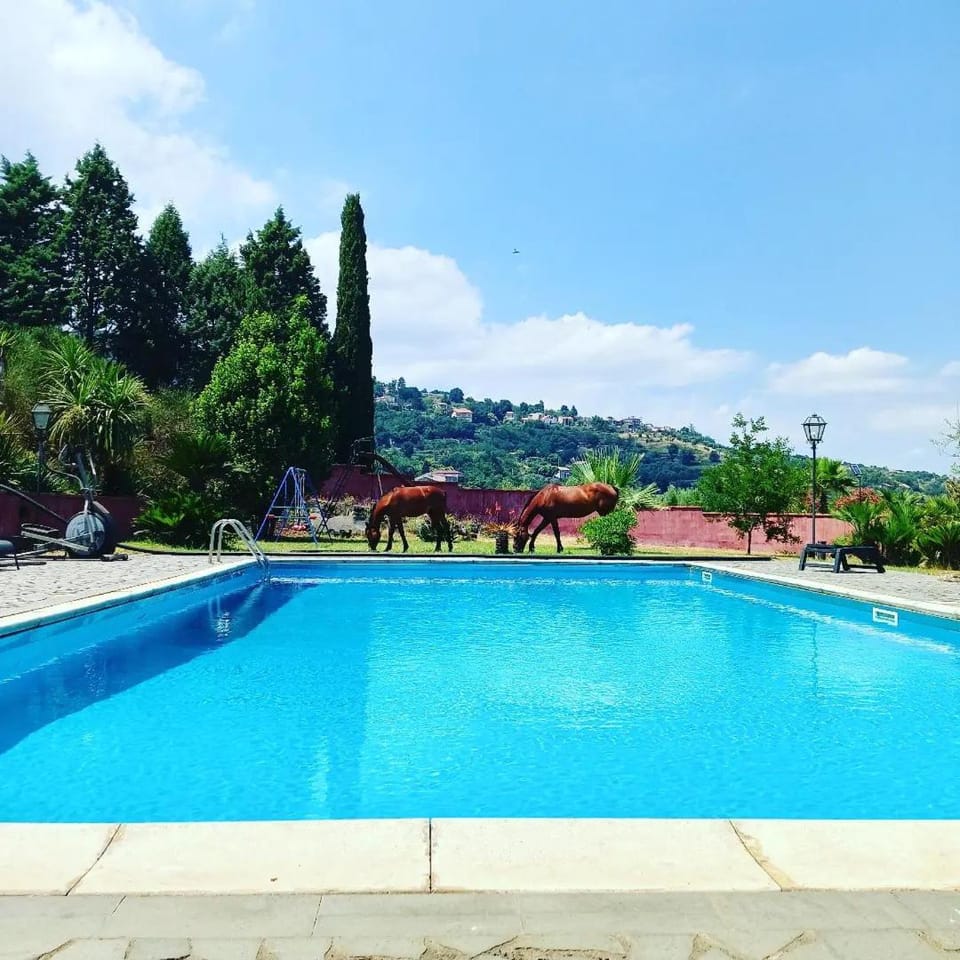 Natural landscape, Mountain view, Pool view, Swimming pool, sunbed