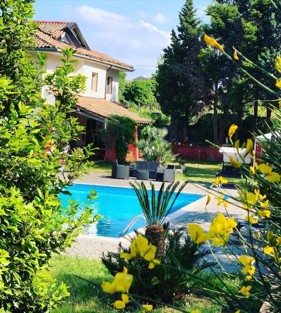 Pool view, Swimming pool