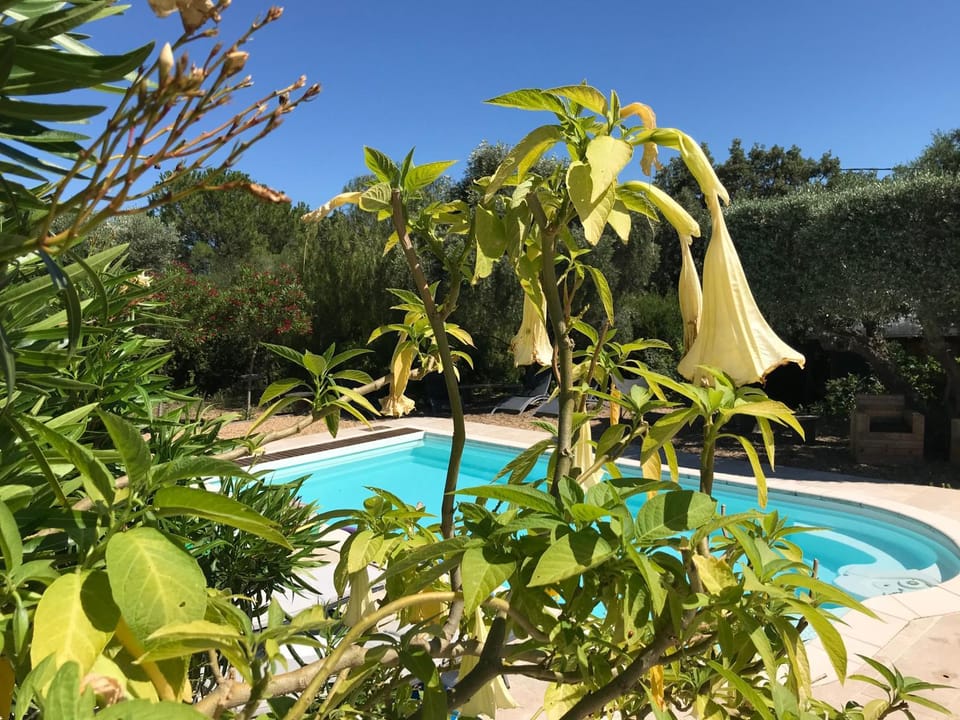 les Chambres d'Amis Bed and Breakfast in Sanary-sur-Mer