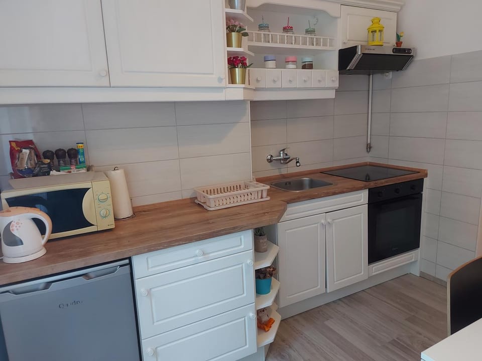 Kitchen or kitchenette, minibar, pet friendly, stove