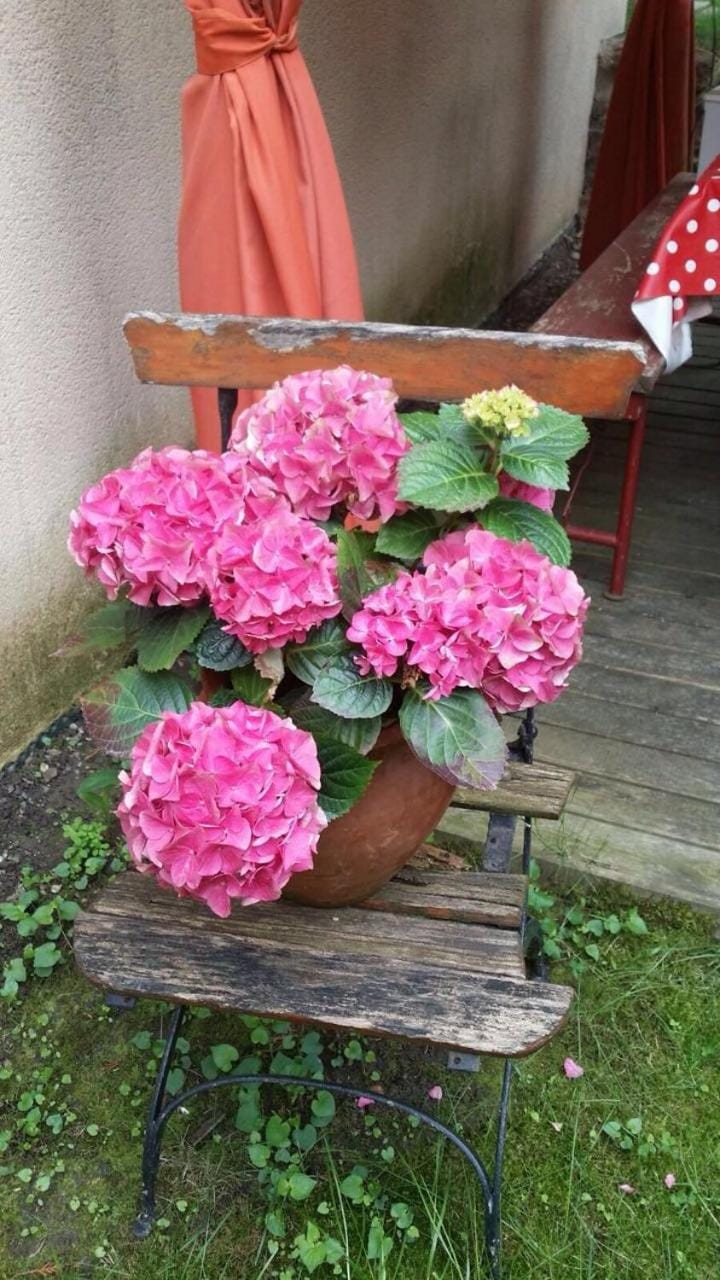 Spring, Decorative detail