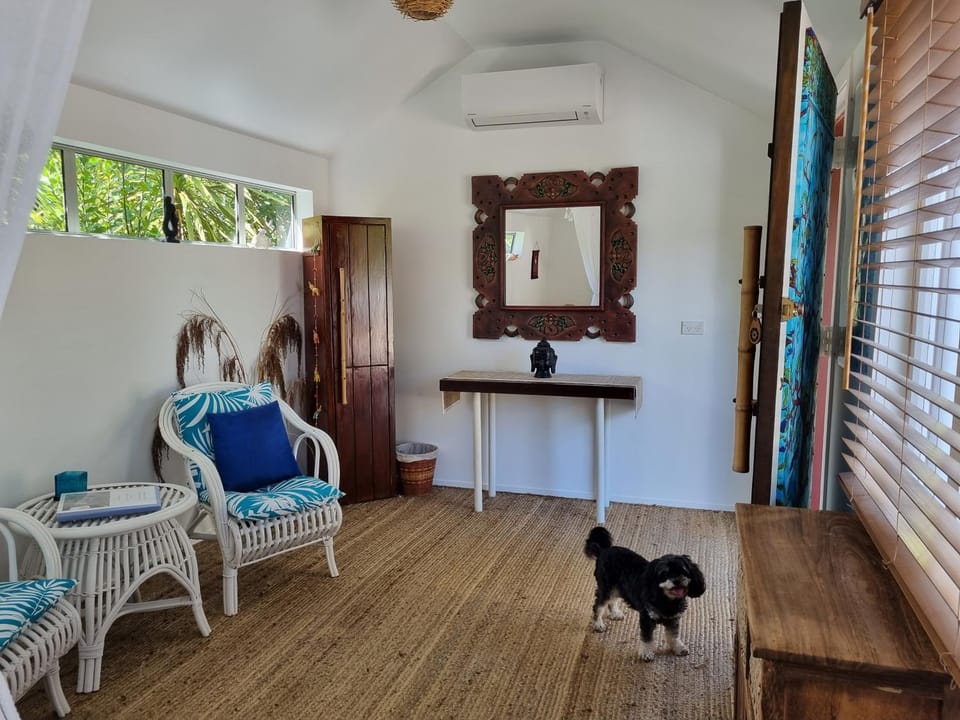 Seating area, pet friendly