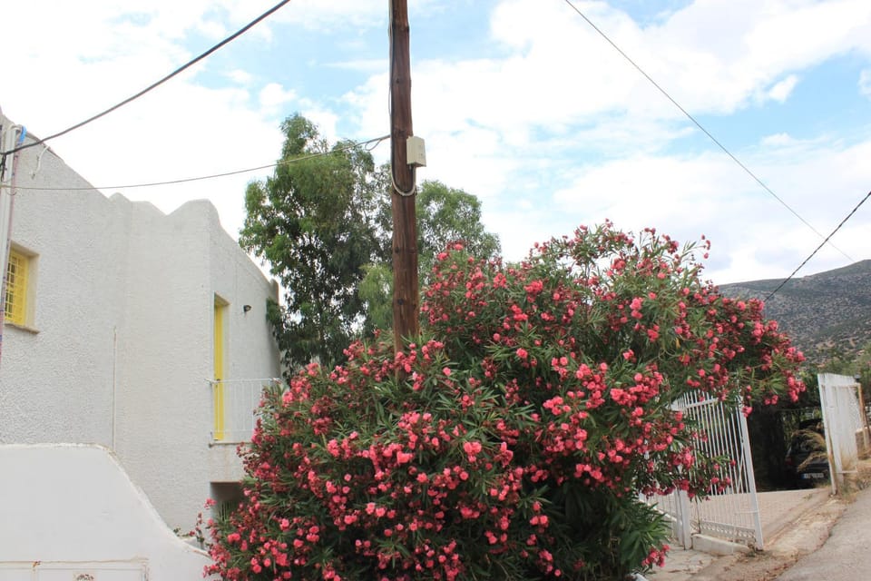 Facade/entrance, Garden, Mountain view, Inner courtyard view