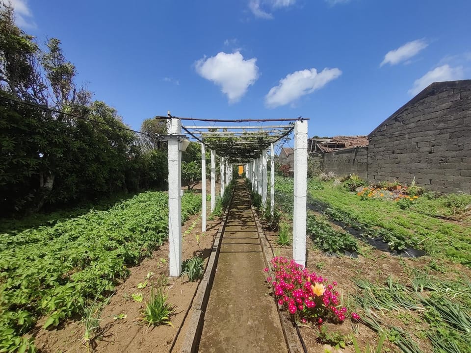 Casa Amarela de Santana House in Azores District