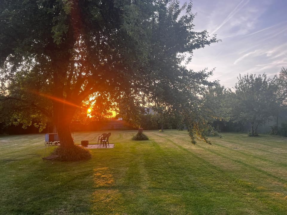 Garden, Sunset