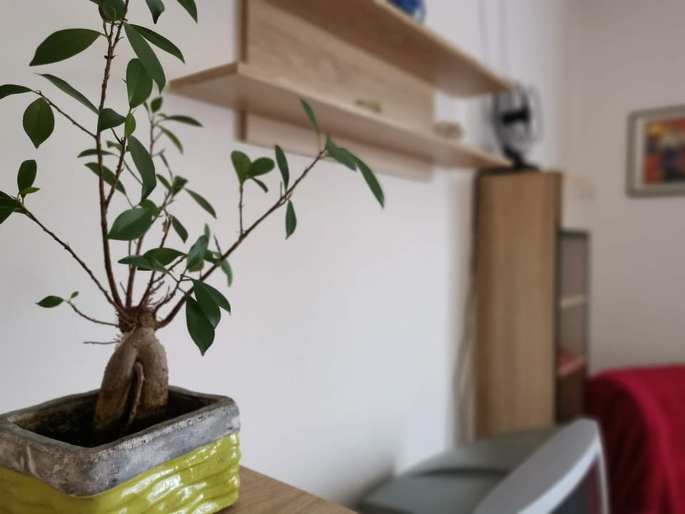 Carnerolo*** Apartment in Rijeka