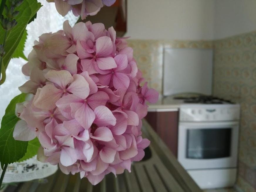 Carnerolo*** Apartment in Rijeka