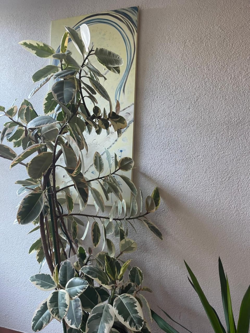 Decorative detail
