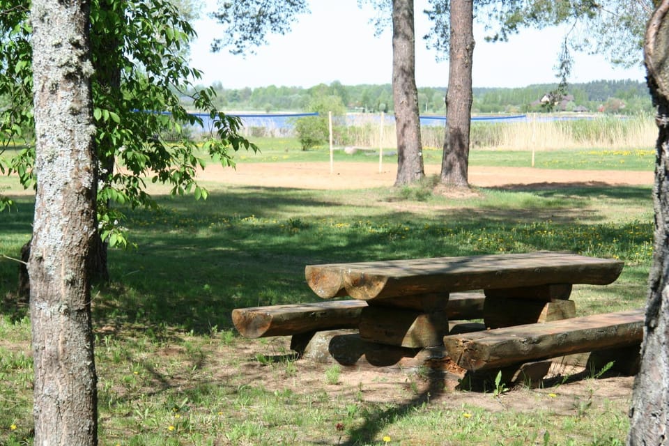 Area and facilities
