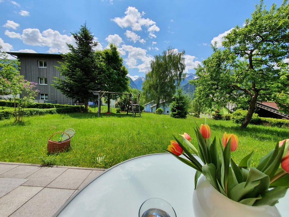 Garden, Mountain view