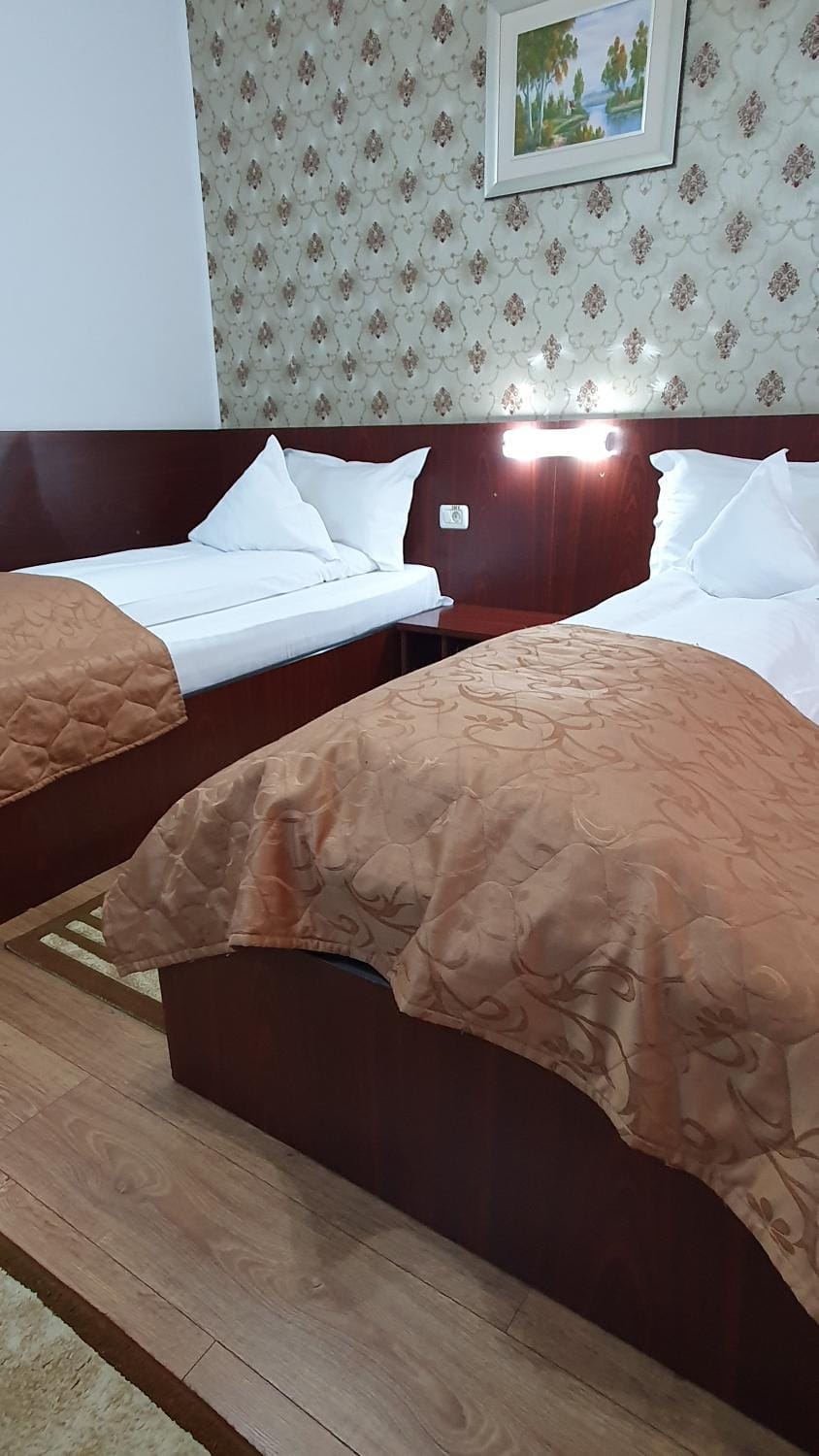 Pensiunea Select Bed and Breakfast in Timiș County