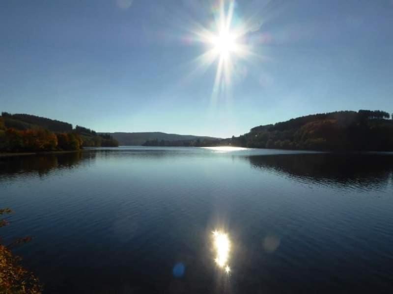 Lake view