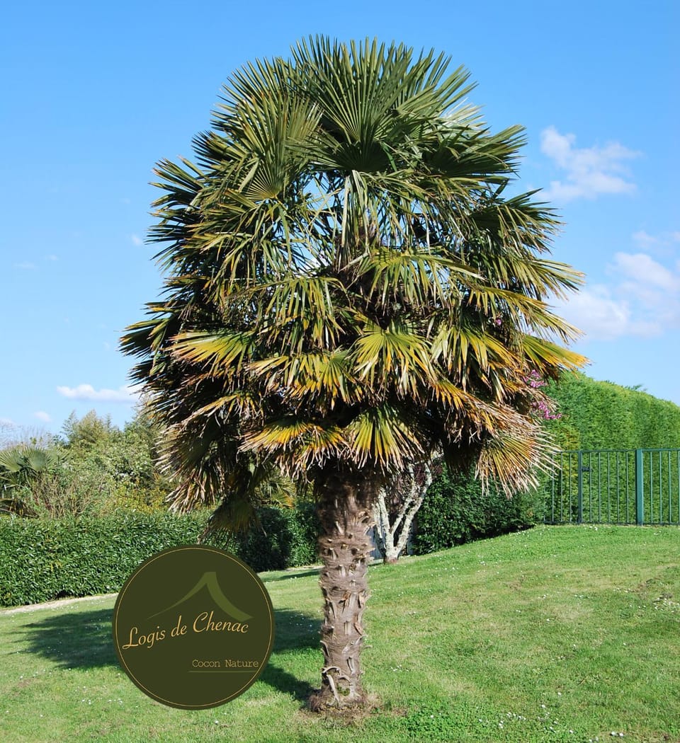 Garden, Garden, Garden view