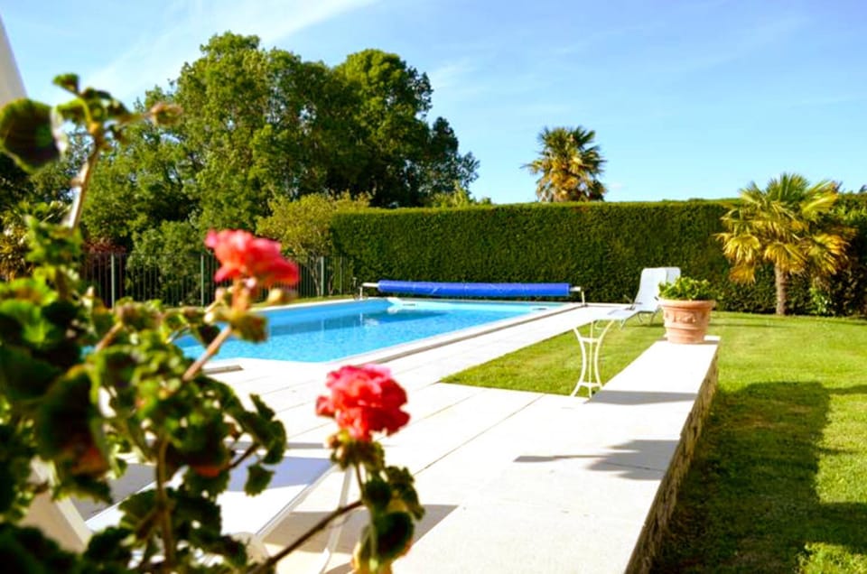 Garden, Garden view, Pool view, Swimming pool, sunbed