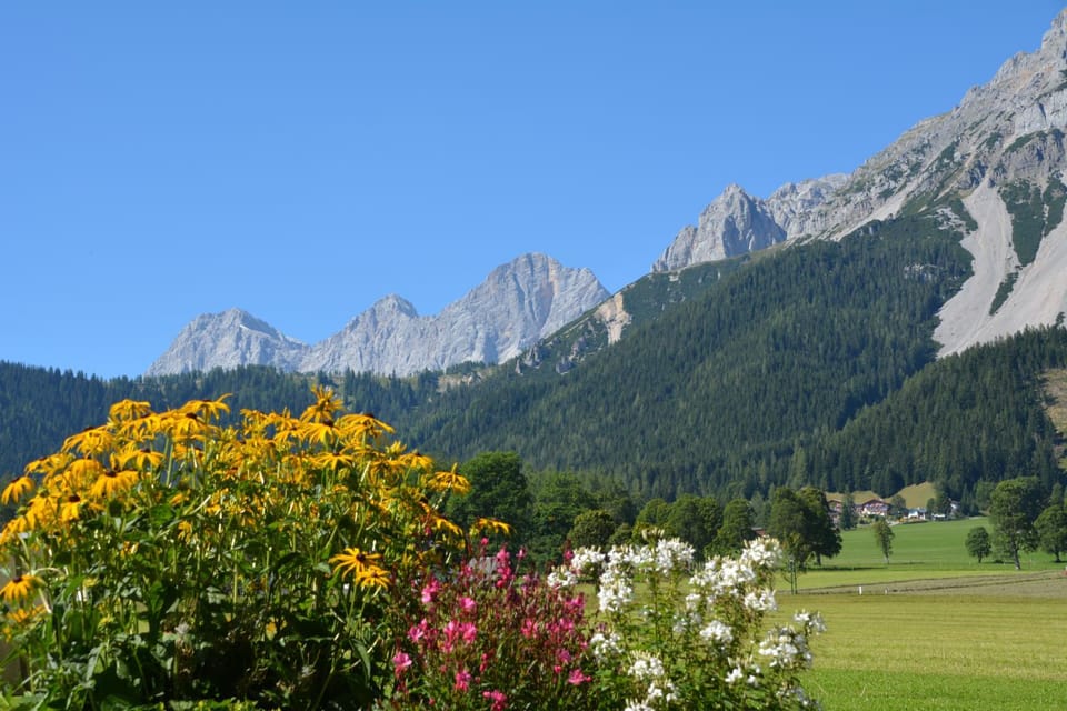 Natural landscape