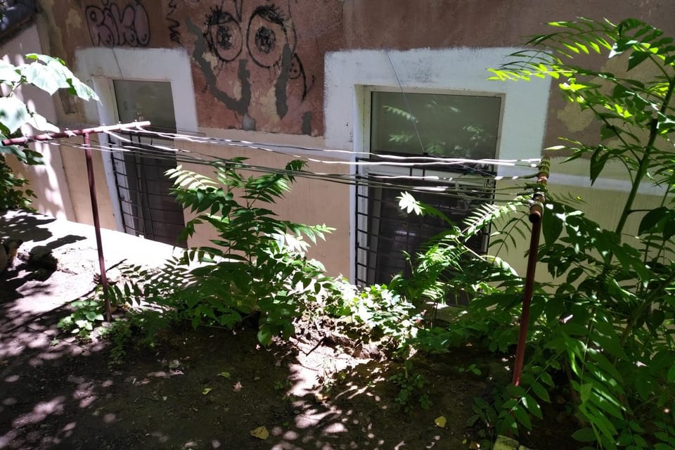 Property building, Garden view