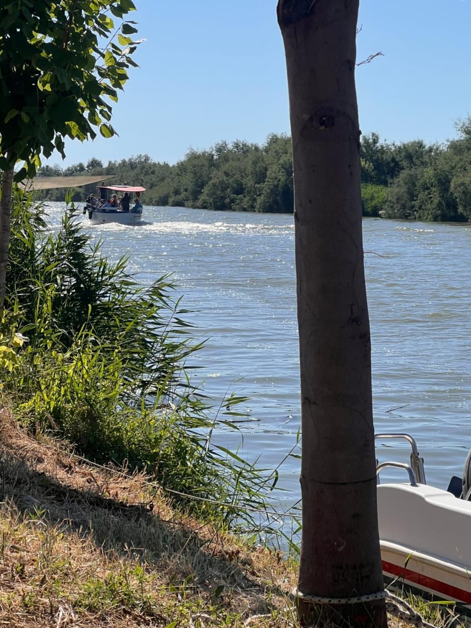River view