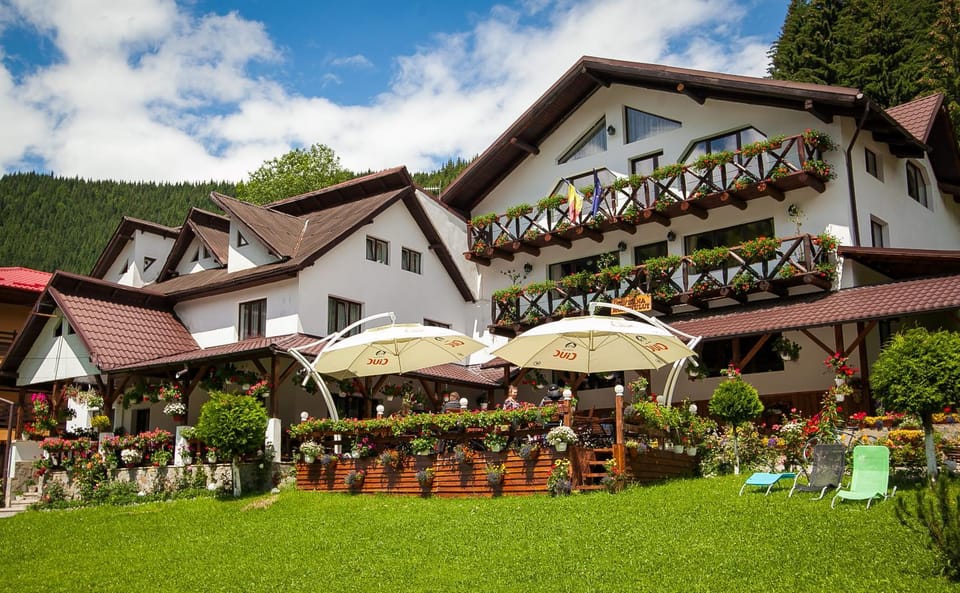 Property building, Natural landscape, Garden