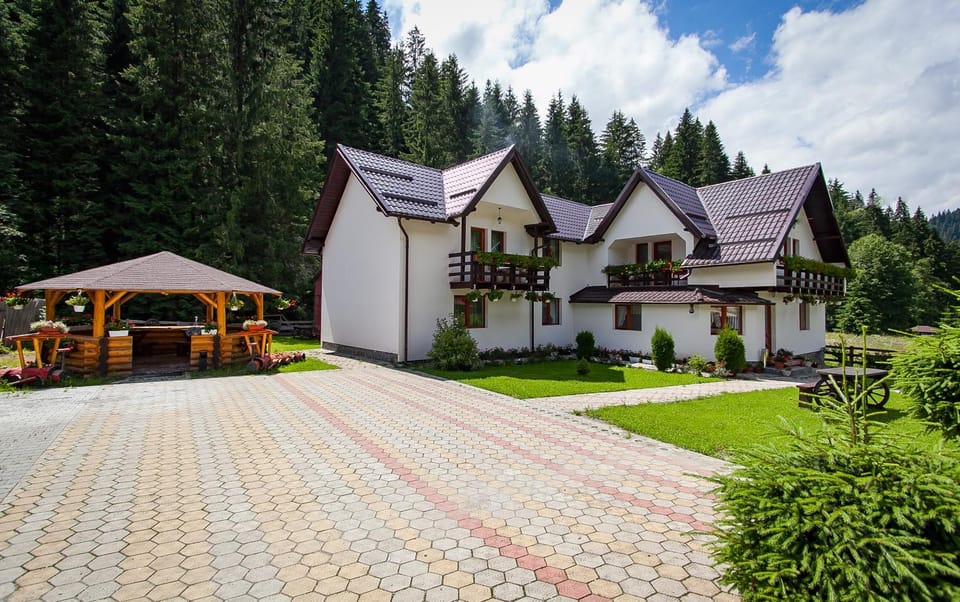 Property building, Day, Garden, Garden view
