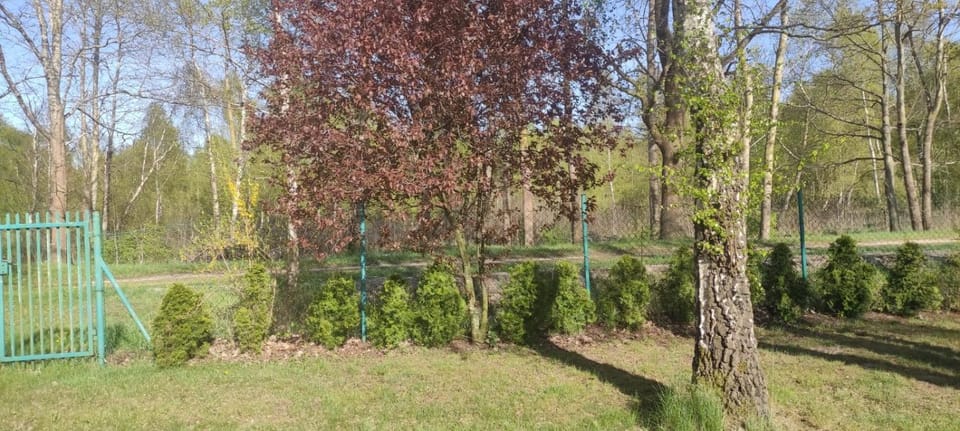 Barwy Lata Nature lodge in Pomeranian Voivodeship