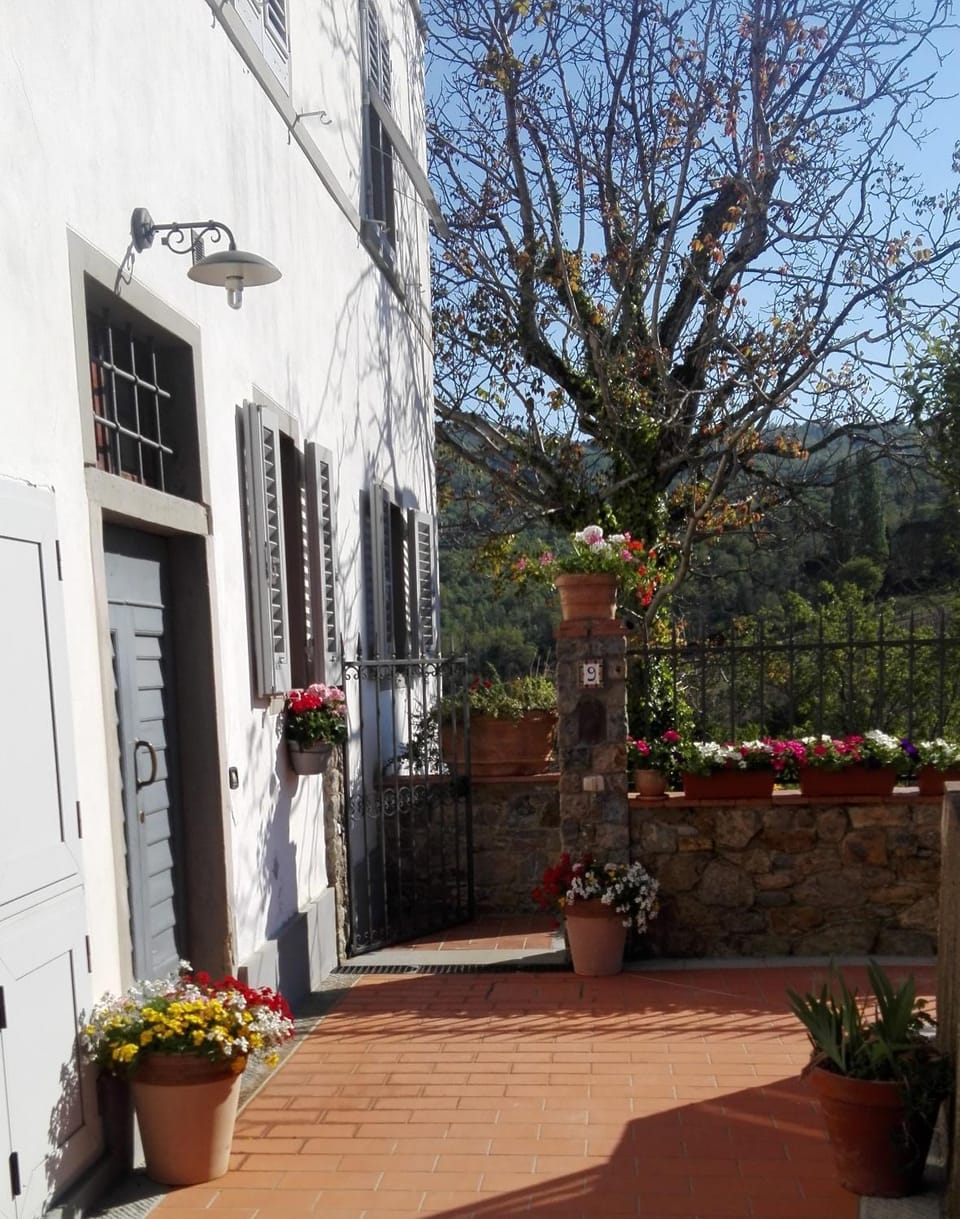 Property building, Garden, Garden view